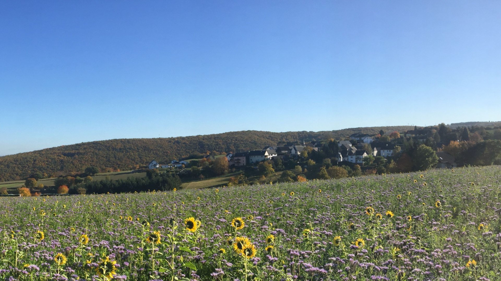 Breitscheid Natur | © Marcel Rüdesheim