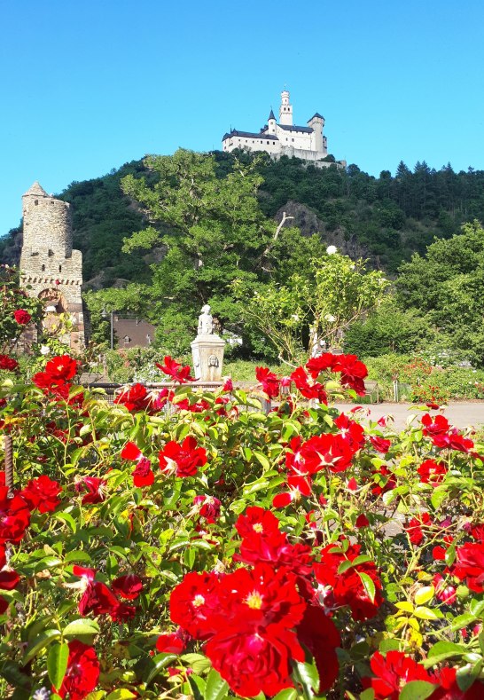 Sommer | &copy; Katharina Schattner/Romantischer Rhein Tourismus GmbH
