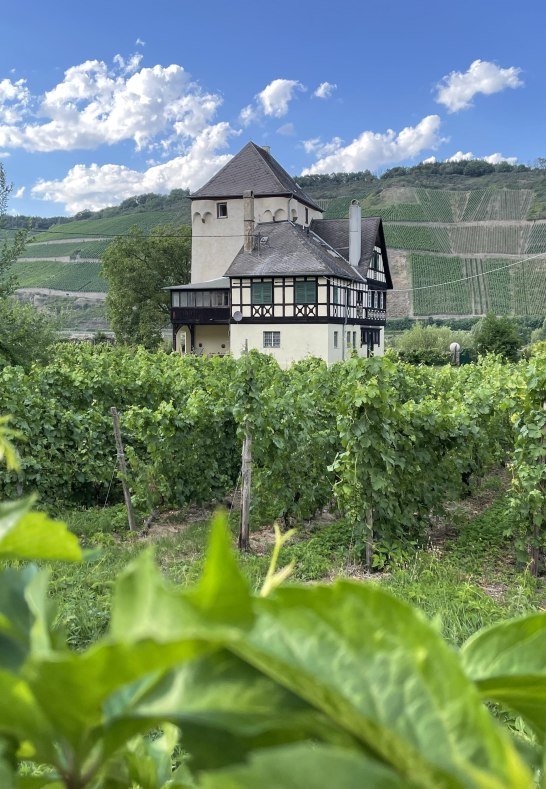 Reben und Wasserburg | © Sebastian Reifferscheid