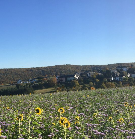 Breitscheid Natur | © Marcel Rüdesheim