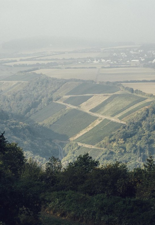 Landschaft | &copy; Fetz