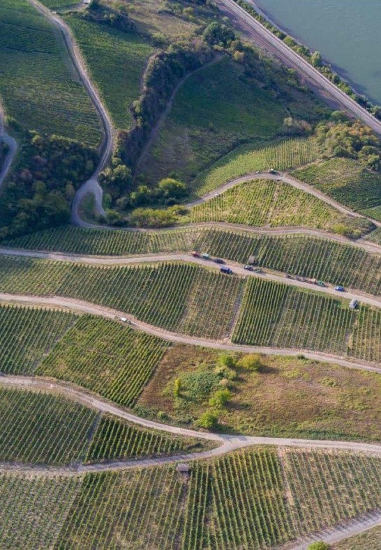 Fetz4 | &copy; Fetz &ndash; Weingut & Destillerie