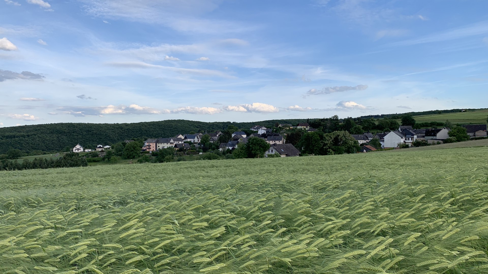 Panorama | &copy; Marcel R&uuml;desheim