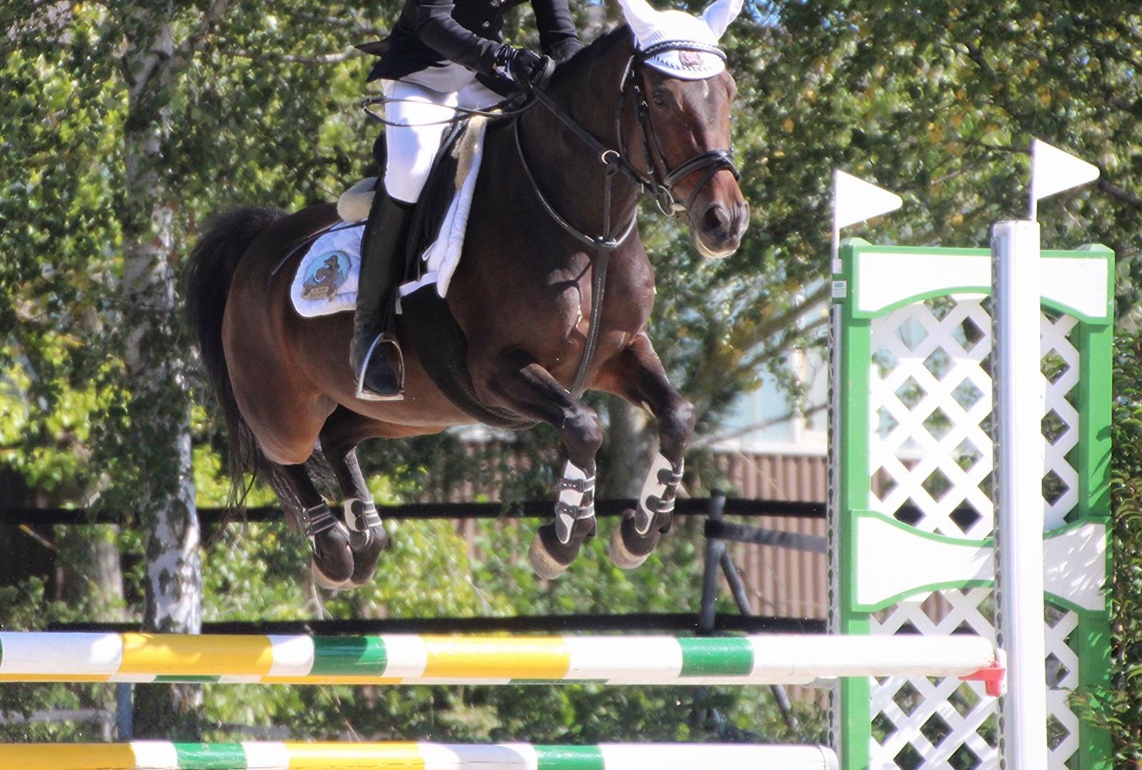 Sprung | © Isabelle Diesler Sprung | © Isabelle Diesler