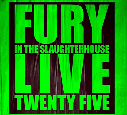 Fury in the Slaughterhouse | © Loreley Venue Management