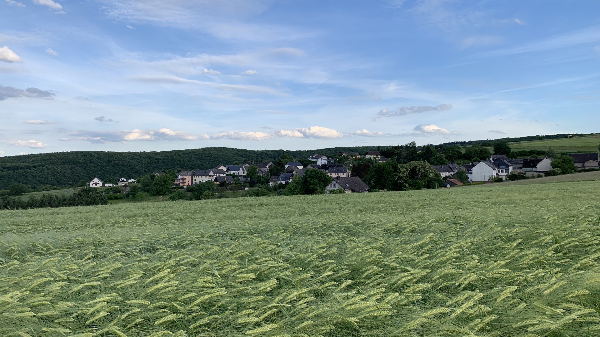 Panorama | &copy; Marcel R&uuml;desheim