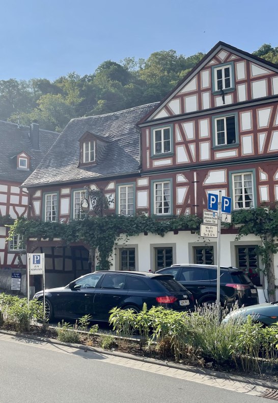 wei&szlig;er Schwan2 | &copy; Sonja Herber