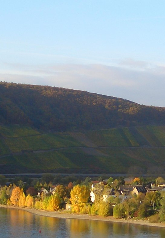 Filsen | © Reifferscheid