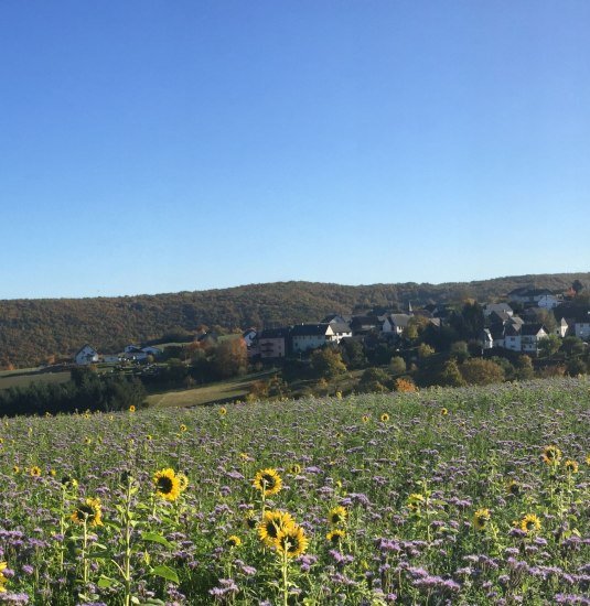 Breitscheid Natur | © Marcel Rüdesheim Breitscheid Natur | © Marcel Rüdesheim