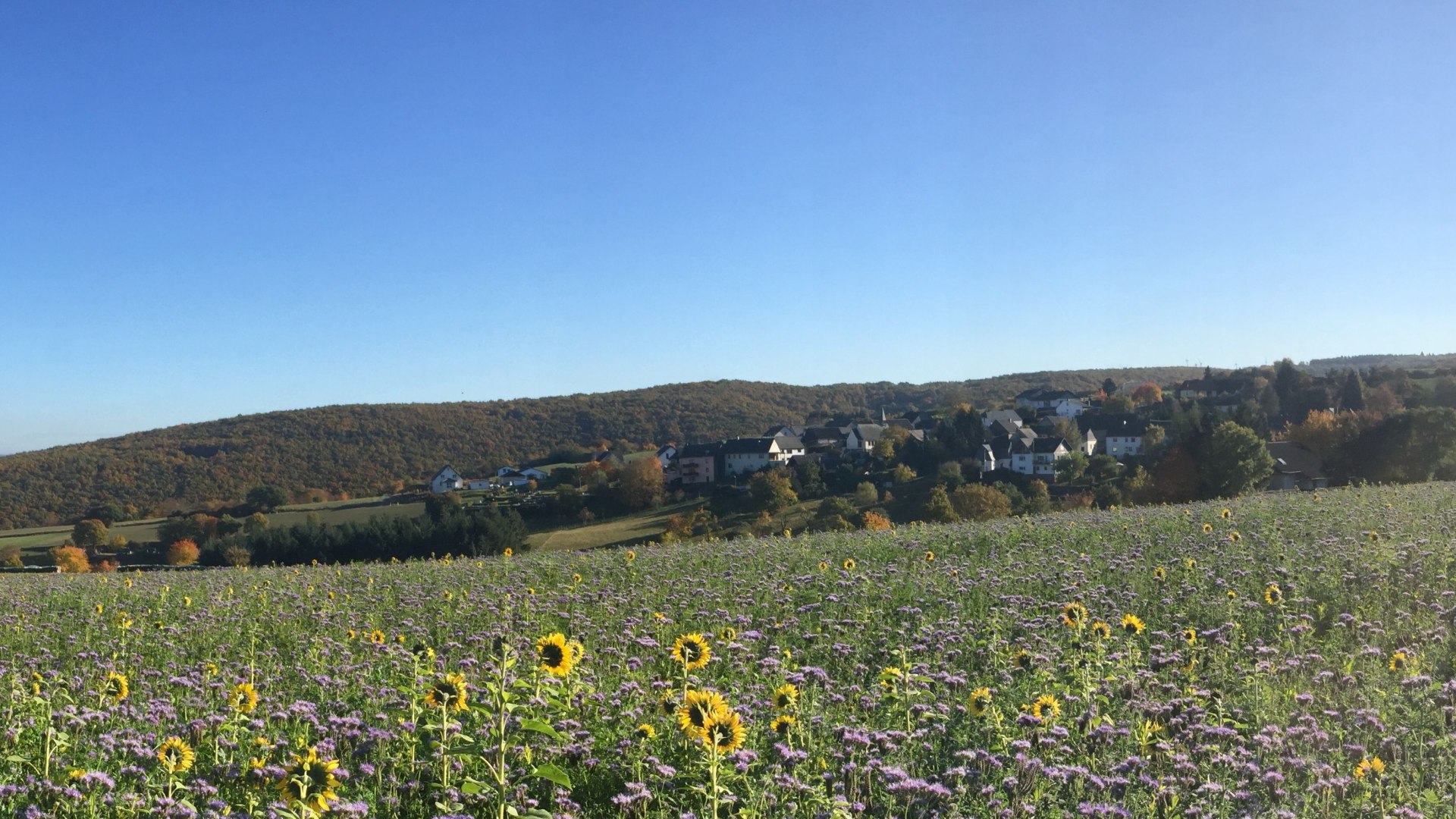 Breitscheid Natur | &copy; Marcel R&uuml;desheim