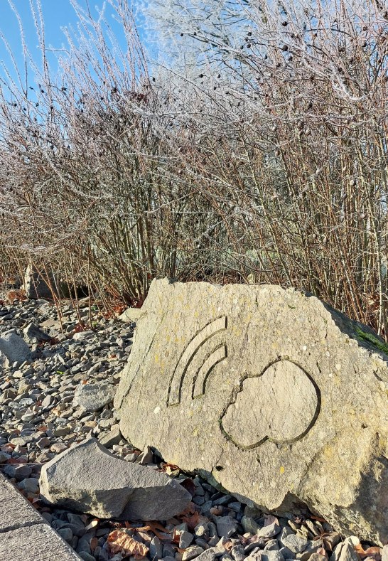 Fragen und Antworten | &copy; Loreley Touristik