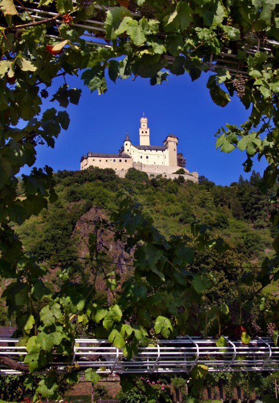 Reben und Marksburg | &copy; unbekannt