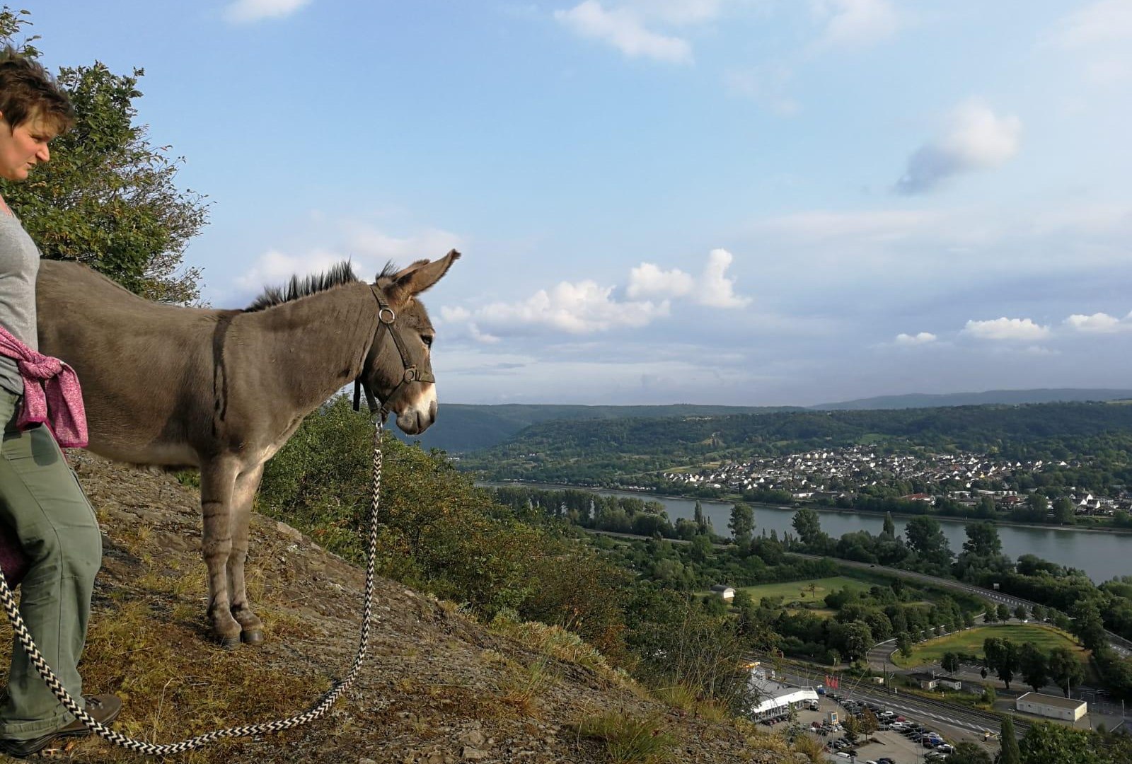 Eselwanderung | © Forstmühle Eselwanderung | © Forstmühle