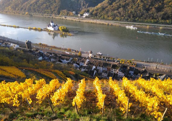 Weinberg | &copy; Peter Bahles