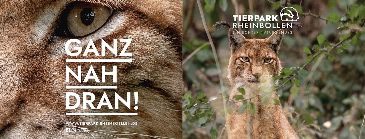 Tierpark Rheinböllen | © Tierpark Rheinböllen Tierpark Rheinböllen | © Tierpark Rheinböllen